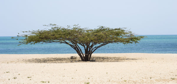 Colombian Beach
