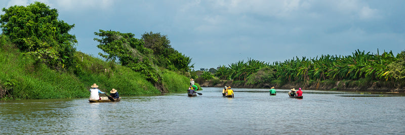 Group Fishing - Niko Jacob - The Colombia Collective